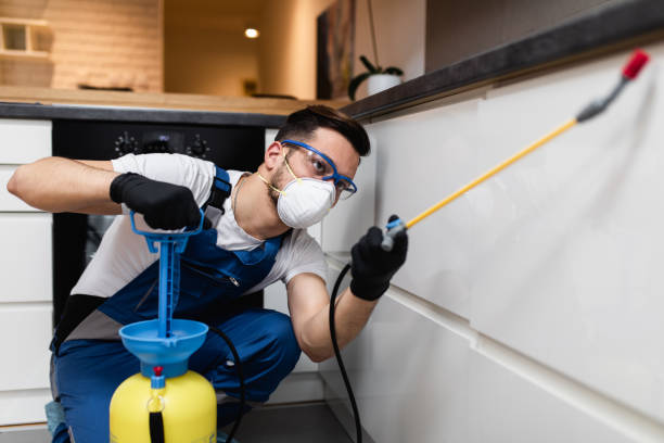 Best Pest Control Near Me  in Sappington, MO
