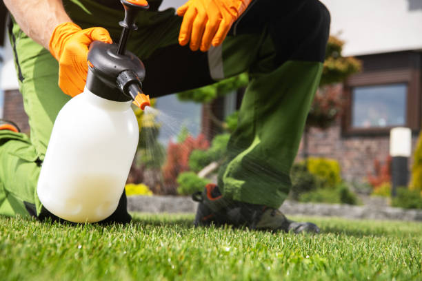 Best Pest Control Treatment  in Sappington, MO