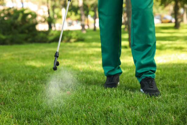 Best Commercial Pest Control Services  in Sappington, MO