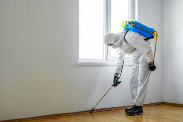 Pest Prevention Services in Sappington, MO