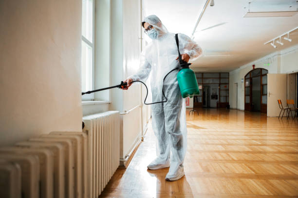 Best Local Pest Control Services  in Sappington, MO